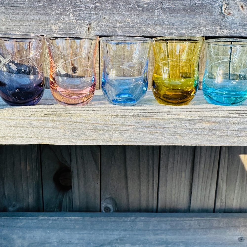 Mid-Century Bohemian Etched Dragonfly Glasses Cordial Liquer Set Of 5 - Picture 4 of 11